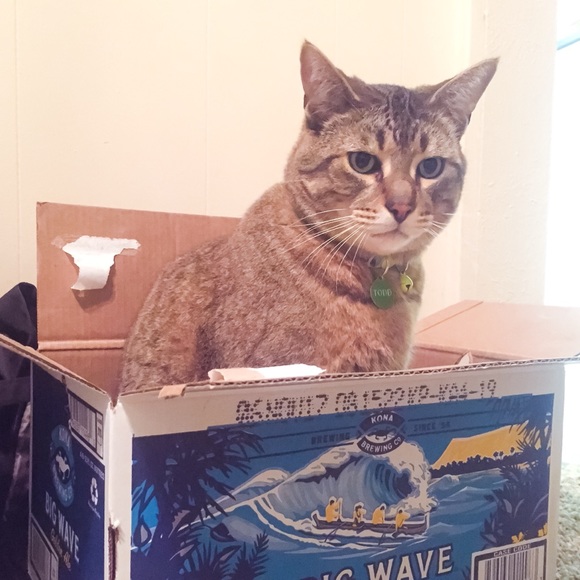 ON MATERNITY LEAVE - Picture 4 of 7